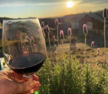 Sao Joaquim Ski Chalet | Pet-Friendly Retreat at Recanto Ar da Serra, Rated 10/10