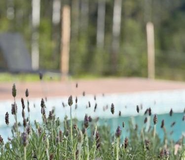 Divino de Sao Lourenco House | Discover Recanto da C’Alma: Family-Friendly with Pool
