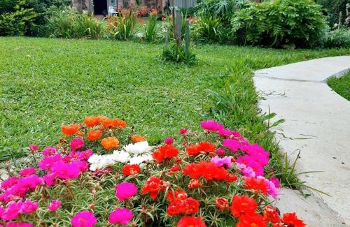 Encosta da Serra House | Pet-Friendly Retreat with Ocean View at Recanto da Paz