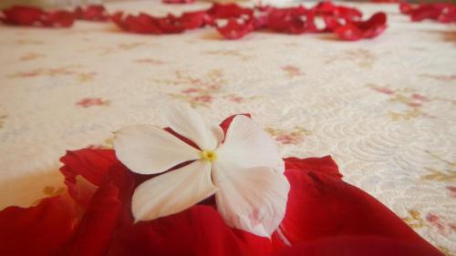 Jabaquara House | Idyllic Recanto da Praia: Pool, Spa & Family-Friendly Fun