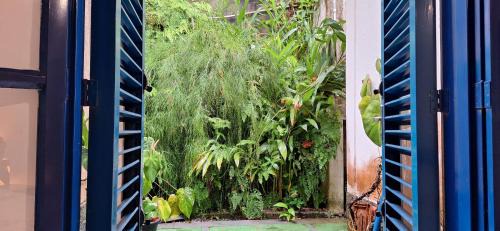 Ibicui Bed & Breakfast | Discover Recanto das Tartarugas: Oceanfront Family Retreat