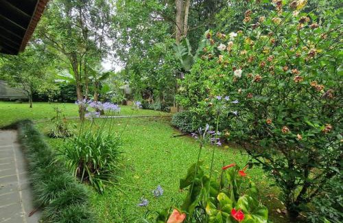 Ribeirao Pires House | Explore Recanto do Aconchego: Pet-Friendly Retreat