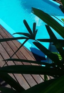 Morrinhos House | Enchanting Recanto dos Pássaros with Ocean View & Pool