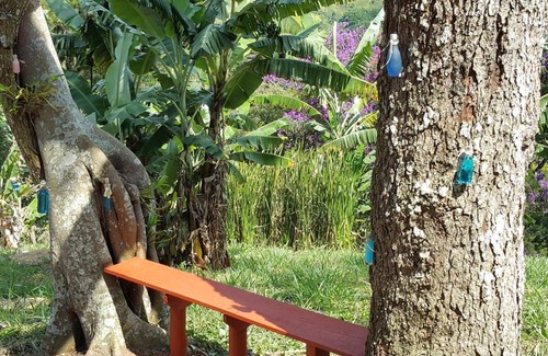 Sao Bento do Sapucai House | Unforgettable Stay at Recanto Flora Pedra do Reino