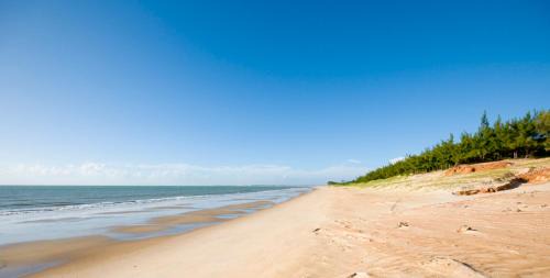 Zumbi Apartment | Oceanfront Retreat at Beira Mar e Sossego, Praia de Zumbi