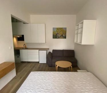 Ostrava City Centre Apartment | Stylish Red&Black Apartment in City Center, Pet & Child Friendly