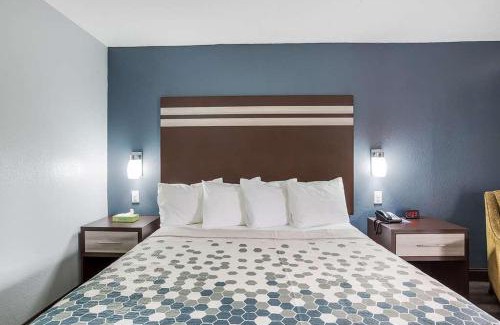 Winslow Hotel | Pet-Friendly Red Carpet Inn & Suites NJ-73 for Families