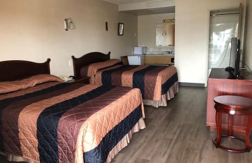 Red Deer Hotel | Comfortable Stay at Red Deer Inn & Suites with Breakfast