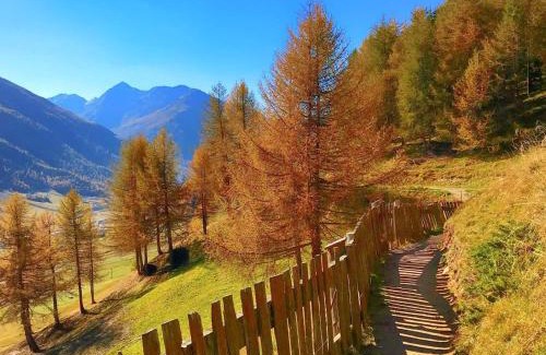 Valdidentro Apartment | Pet and Child Friendly Escape at Red House - Rated 9/10