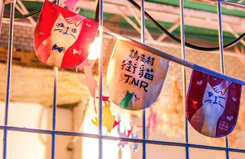 Tainan City Centre House | Discover Red Letter Day: Pet and Child-Friendly Stays