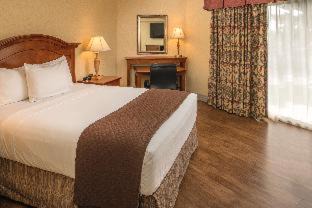 Pasco Hotel | Discover Red Lion Hotel Pasco Airport & Conference Center