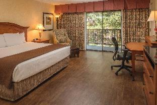 Pasco Hotel | Discover Red Lion Hotel Pasco Airport & Conference Center