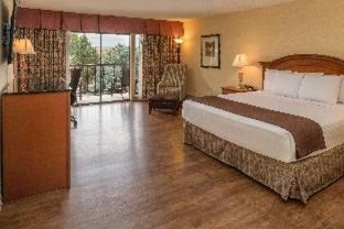 Pasco Hotel | Discover Red Lion Hotel Pasco Airport & Conference Center