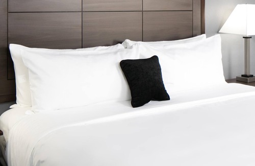 Blue Springs Hotel | Red Lion Inn & Suites Blue Springs