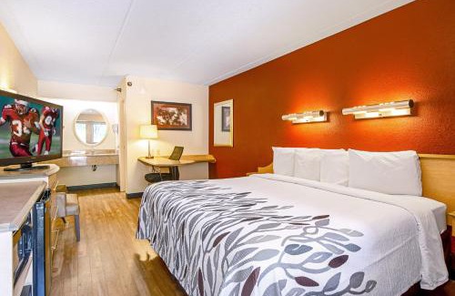 Newtonville Hotel | Convenient Red Roof Inn Albany Airport with Pet-Friendly Stay