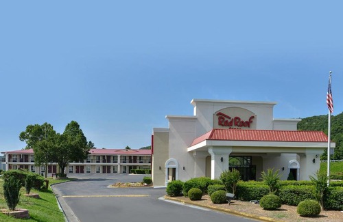 Dalton Hotel | Pet-Friendly Getaway at Red Roof Inn Dalton