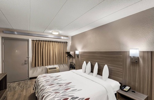 Enfield Hotel | Pet-Friendly Getaway at Red Roof Inn Enfield with Breakfast