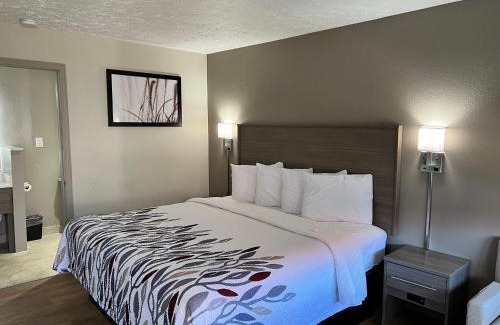 Georgetown Hotel | Comfortable Stay at Red Roof Inn Georgetown, KY with Hot Tub
