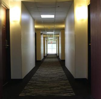 Waukegan Hotel | Pet-Friendly Red Roof Inn Gurnee – Waukegan Awaits You!