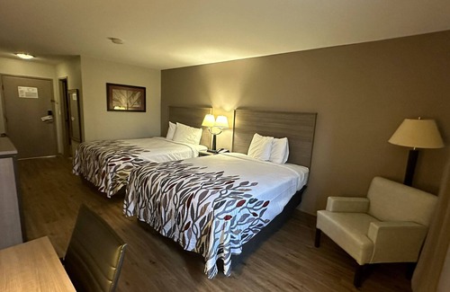 Waukegan Hotel | Budget-Friendly Stay at Red Roof Inn Gurnee - Waukegan