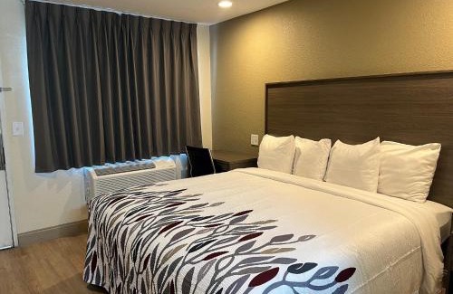 Haltom City Hotel | Pet-Friendly Retreat at Red Roof Inn Haltom City