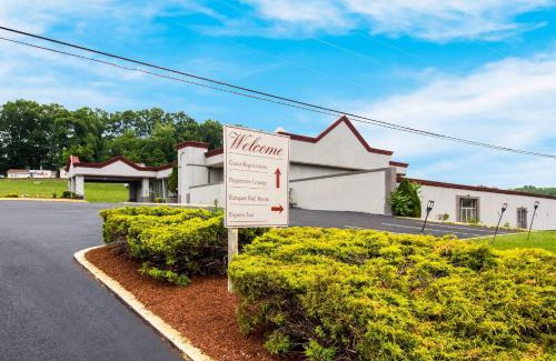 New Stanton Hotel | Pet Friendly Red Roof Inn New Stanton for Your Family Getaway