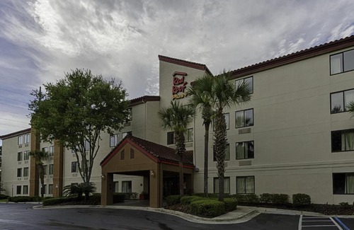 Gainesville Hotel | Pet-Friendly Getaway at Red Roof Inn PLUS + Gainesville