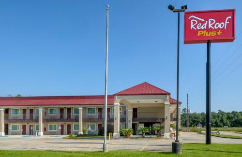 Hammond Hotel | Pet-Friendly Red Roof Inn PLUS+ Hammond with Pool Access