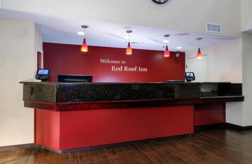 Palm Coast Hotel | Comfortable Stay at Red Roof Inn PLUS+ Palm Coast with Pool