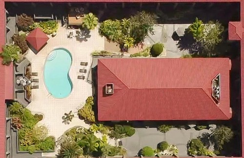 Terrace Park Hotel | Pet-Friendly Red Roof Inn PLUS & Suites Tampa with Pool