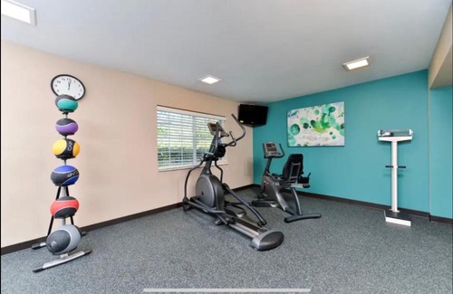 Terrace Park Hotel | Pet-Friendly Red Roof Inn PLUS & Suites Tampa with Pool