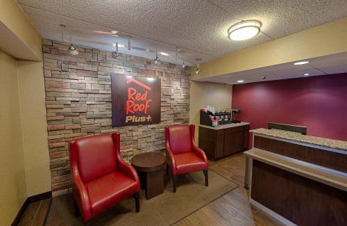 Amherst Hotel | Pet-Friendly Retreat at Red Roof Inn PLUS+ Buffalo Amherst