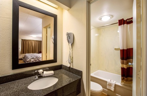 Saginaw Hotel | Budget-Friendly Stay at Red Roof Inn Saginaw - Frankenmuth