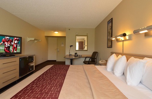 North San Antonio - SAT Hotel | Convenient Red Roof Inn San Antonio - Airport with Great Amenities
