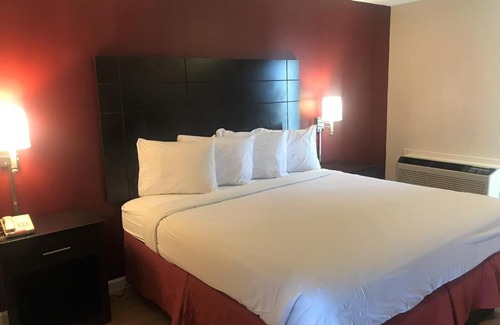 San Angelo Hotel | Pet-Friendly Retreat at Red Roof Inn & Suites San Angelo