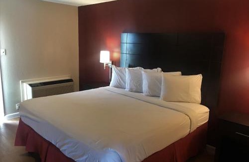 San Angelo Hotel | Pet-Friendly Retreat at Red Roof Inn & Suites San Angelo
