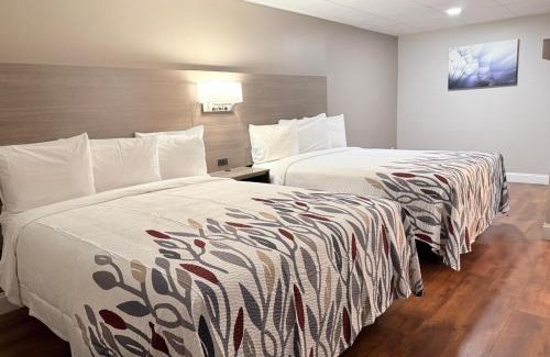 Swansea Hotel | Cozy Rodeway Inn: Pet-Friendly Stay for Every Traveler
