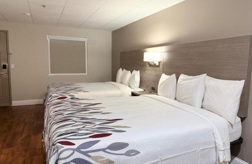 Swansea Hotel | Cozy Rodeway Inn: Pet-Friendly Stay for Every Traveler