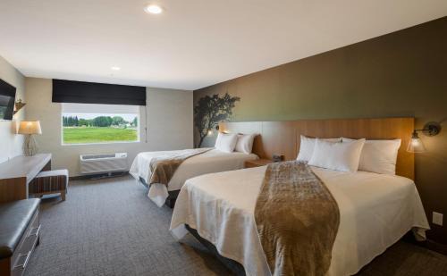 Torrey Hotel | Red Sands Hotel: Oceanfront Retreat with Spa & Pool Access