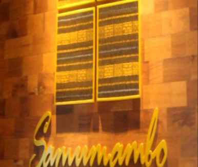 Timika Hotel | Budget-Friendly Stay at RedDoorz @ Jalan Cendrawasih