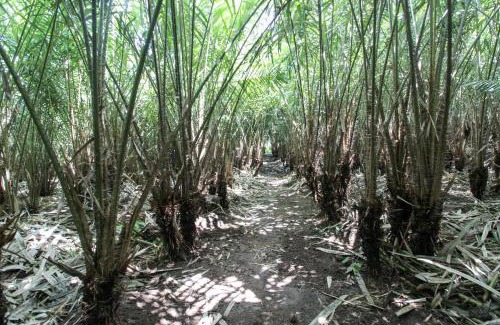 Pakem House | Budget-Friendly RedDoorz Near Museum Gunung Merapi