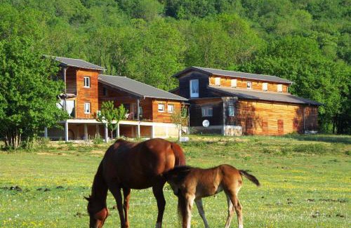 Senaud House | Experience Redspring Chambres d'Hôtes with Ocean Views
