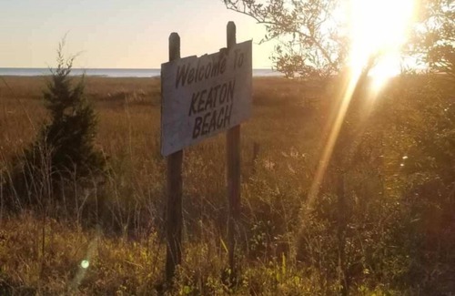 Keaton Beach RV Rental | Perfect Pet-Friendly Getaway at Reel Paradise RV Lot #1