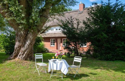 Breiholz House | Charming Oceanfront Stay at Reetdachhaus Eiderblick