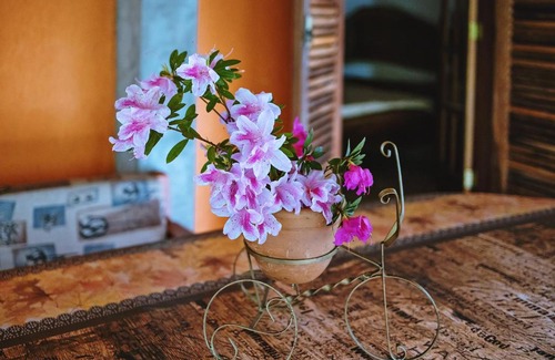 Ibiuna Villa | Pet-Friendly Getaway at Refúgio da Mata Ibiúna