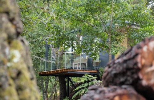 Molares Cabin | Discover Refúgio das Poldras: Rated 9.8 with Hot Tub & More