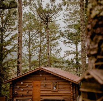 Vila Suzana Ski Chalet | Pet-Friendly Refúgio do Caracol: Guest Rated 10/10 Stay