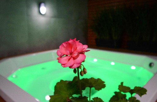 Campeche Sul House | Pet-Friendly Refúgio dos Corais - 4-Star Stay in Floripa