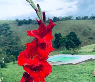 Monteiro Lobato House | Pet-Friendly Getaway at Refúgio dos Moreiras - Rated 9.8