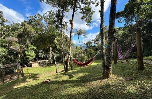 Santo Antonio do Pinhal Apartment | Pet-Friendly Retreat: Refúgio na Mata - Casa de Campo